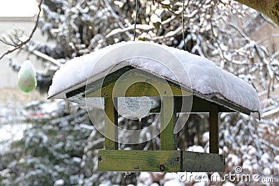 Bird feeders Stock Photo