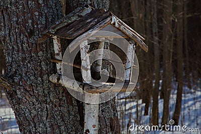 Bird feeders in the spring forest. Stock Photo