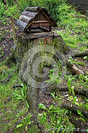 Bird feeders on the stump. Stock Photo