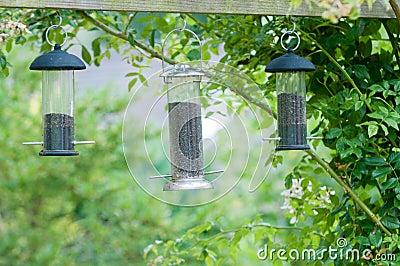 Bird feeders Stock Photo