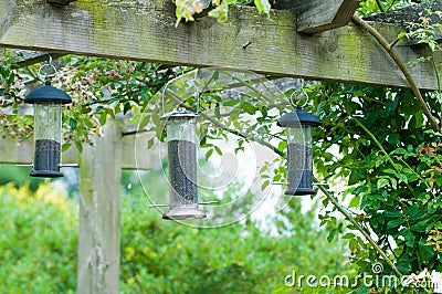 Bird feeders Stock Photo