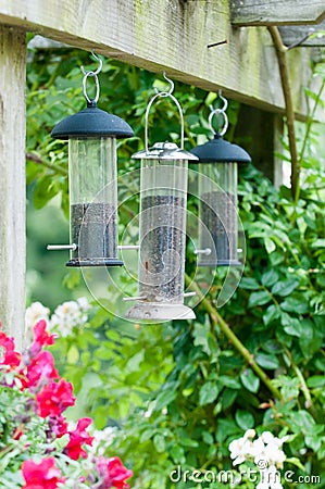 Bird feeders Stock Photo