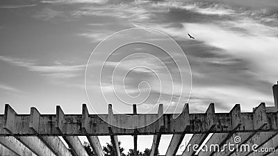 Bird flies through a light cloudy sky Stock Photo