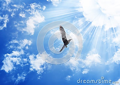 Sky go only subscription deals