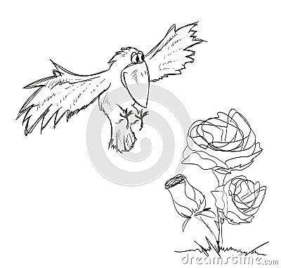 Bird flying up to a bouquet of roses. Vector Illustration