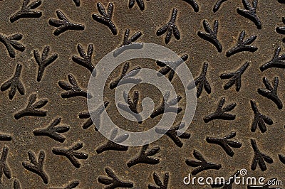 Bird footprint metal texture Stock Photo