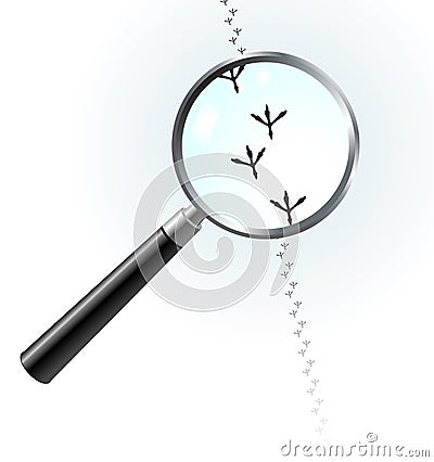 Bird Footprints under magnifying Glass Vector Illustration