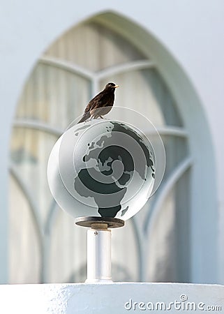 Bird on glass earth Stock Photo