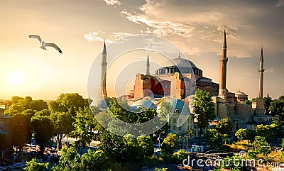 Bird and Hagia Sophia Stock Photo