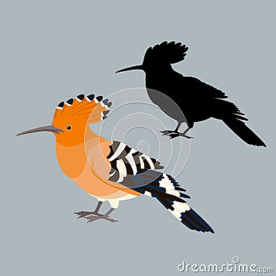 Bird hoopoe vector illustration style flat silhouette set side Vector Illustration