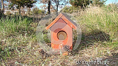 Bird house Bird house, Birdhouse Sparrow`s house on land in the park. Birds, animal, animals, wildlife, wild nature, garden Stock Photo