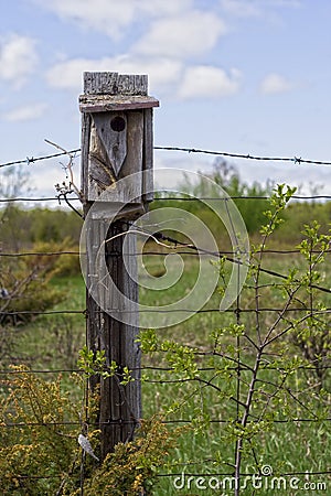 Bird House On Fence Post Stock Images - Image: 13957344