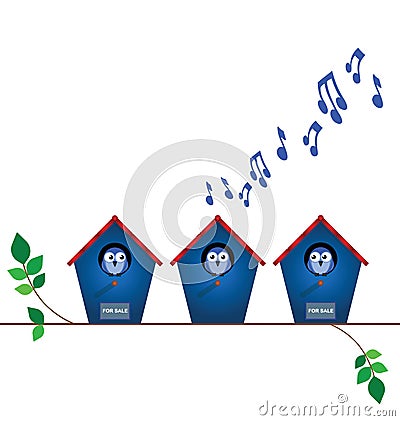 Bird house playing load music Vector Illustration