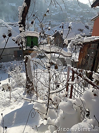 Bird house with snow and little wooden house in my organic garden Stock Photo