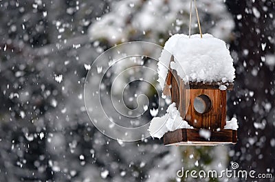 Bird house in winter Stock Photo