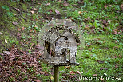 Bird house wood in a park Stock Photo