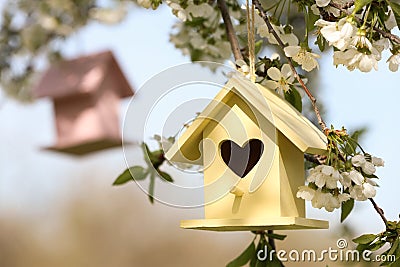 Bird houses hanging outdoors, focus on yellow one Stock Photo