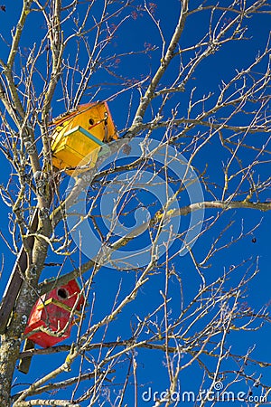 Bird Houses in the old tree with blue sky Stock Photo