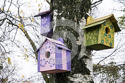 bird houses Stock Photo