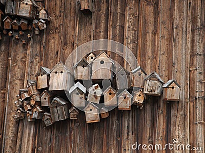 Bird houses on a wooden wall Stock Photo