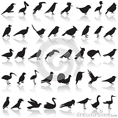 Bird icon set Vector Illustration