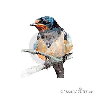 Bird illustration watercolor painting.Watercolor hand painted.illustration of a Bird isolated. Cartoon Illustration