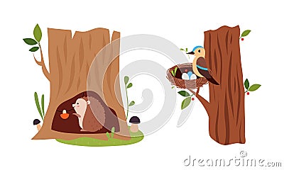 Bird incubating eggs in nest and hedgehog sitting in burrow set cartoon vector illustration Vector Illustration