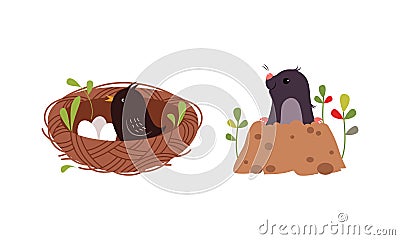 Bird incubating eggs in nest and mole digging hole set cartoon vector illustration Vector Illustration
