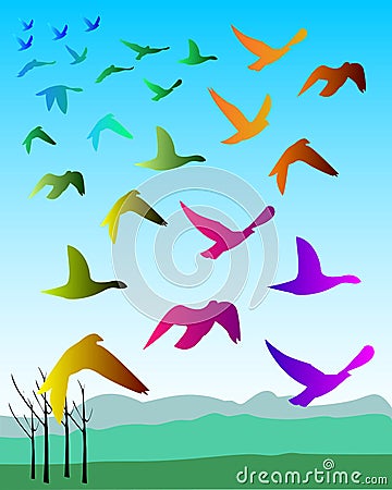 Bird logo Stock Photo
