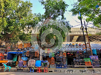 Morning bird market activity, Pasar Burung Cipinang Kebembem, East Jakarta, Indonesia. Editorial Stock Photo