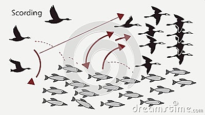 Bird migration diagram, bird migration, animal migration, ecology study, bird movement, nature cycle vector design Generative AI Vector Illustration