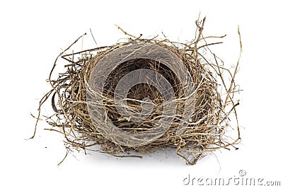 Bird nest Stock Photo