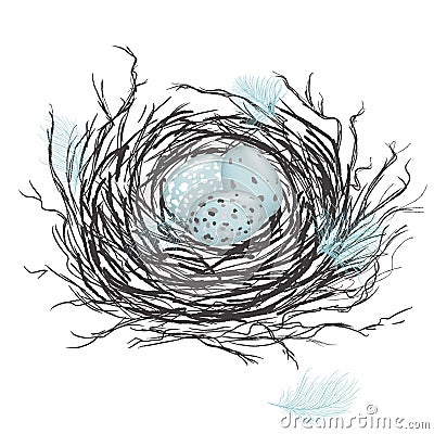 Bird Nest Stock Photo