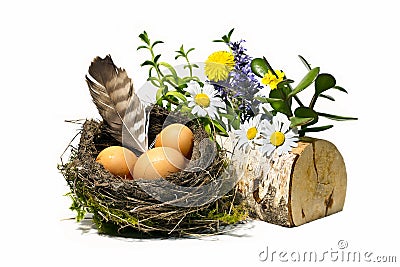 Bird nest, eggs, feather and spring flowers Stock Photo