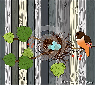 Bird with nest and eggs over wood planks background Vector Illustration