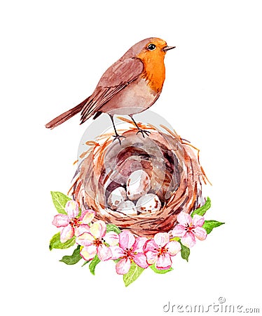 Bird with nest with eggs in spring flowers. Cherry, sakura flowers, pink apple blossom. Floral watercolor Cartoon Illustration