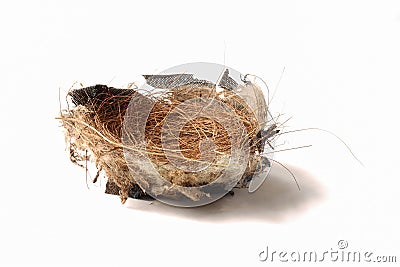 bird nest Stock Photo