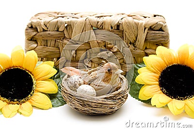 Bird nest and sunflower before phloem basket Stock Photo