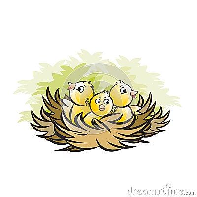 Bird nest with three baby birds Vector Illustration