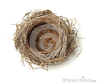 Bird nest Stock Photo