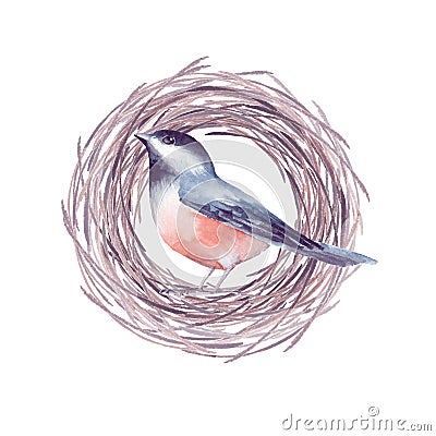 Bird and nest 2 Stock Photo