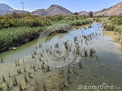 Bird nests on a river with view of the mountain Stock Photo