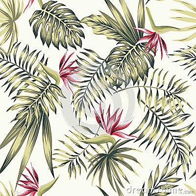 Bird of paradise flowers tropical palm leaves beige background Vector Illustration