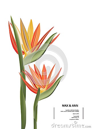 Bird of paradise graphic card design. Modern 3d realistic vector card with exotic flowers, jungle botanical art for banner, Vector Illustration