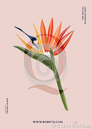 Bird of paradise graphic card design. Modern 3d realistic vector poster with exotic flowers vertical graphics, jungle botanical Vector Illustration