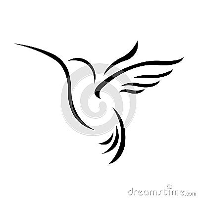 Bird of paradise silhouette drawn in black lines on a white background. Linear style tropical bird hummingbird. Logo for prints, t Vector Illustration