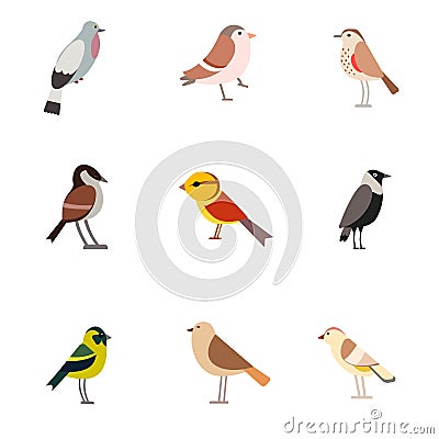 Bird pattern flat illustration on white Vector Illustration