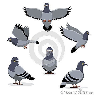 Bird Pigeon Poses Cartoon Vector Illustration Vector Illustration