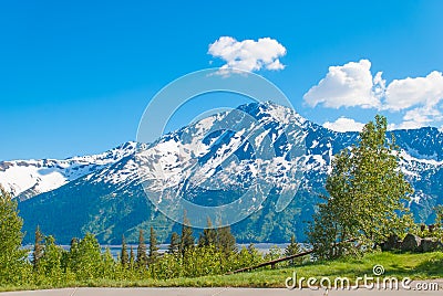 Bird Point, Alaska Stock Photo