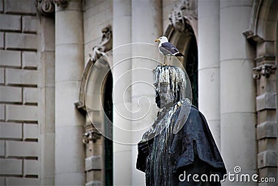Bird Poop On Statue Belfast Editorial Stock Photo